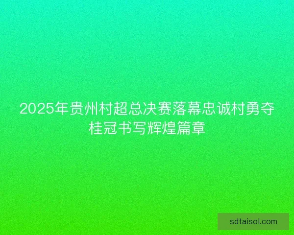 2025年贵州村超总决赛落幕忠诚村勇夺桂冠书写辉煌篇章